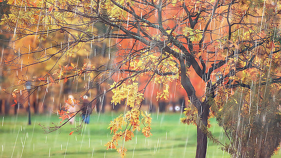 herbstzeit-unwetterzeit.jpg  